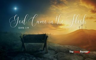 God Came in the Flesh - John 1:14