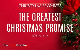 The Greatest Christmas Promise - John 3:16