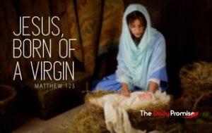 Jesus, Born of a Virgin - Matthew 1:23