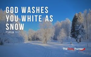 God Washes You White as Snow - Psalm 51:7