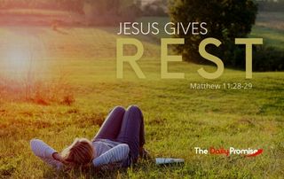 Person laying in a field looking up. The caption reads - Jesus Gives Rest - Matthew 11:28-29