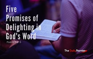 Man reading the Bible - Five Promises of Delighting in God's Word - Psalm 1:2-3