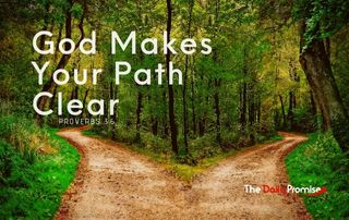 A divide in a path - God Makes Your Path Clear - Proverbs 3:6
