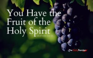 Purple graces with the words, You Have the Fruit of the Holy Spirit - Galatians 5:22-23