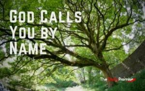 Tree with the words - God Calls You by Name - Luke 19:4-5
