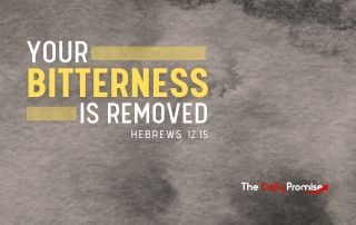 Gray textured background with the words - Your Bitterness is Removed - Hebrews 12:15