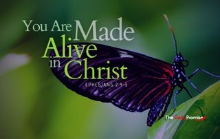 Butterfly with the words - You Are Made Alive in Christ, Ephesians 2:4-5