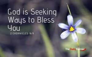 Picture of a flower with the caption - God is seeking ways to bless you. 2 Chronicles 16:9