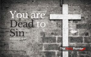 A cross hanging on a gray brick wall. "You are dead to sin" Romans 6:11