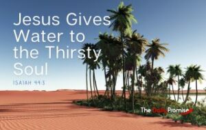 A group of palm trees in the desert. "Jesus Gives Water to the Thirsty Soul"