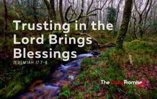 Trusting in the Lord Brings Blessings - a small stream in the forest.