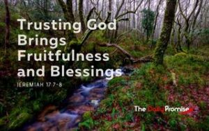 Trusting God Brings Fruitfulness and Blessings - a small stream in the forest.