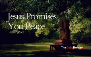 Bench under a large shade tree - "Jesus Promises You Peace" - John 14:27