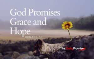 Flower growing out of dead wood. - God Promises Grace and Hope - Romans 5:2