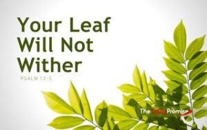 Green leaves it the bottom right corner. "Your Leaf Will Not Wither" - Psalm 1:2-3