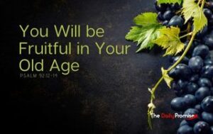 Dark background with grapevines on the right. "You Will be Fruitful in Your Old Age"
