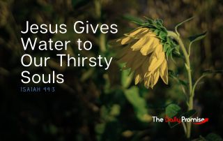 Wilted flower with the caption "Jesus Gives Water to Our Thirsty Souls"
