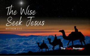 Wise men following the star - "The Wise Seek Jesus"