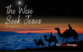 Wise men following the star - "The Wise Seek Jesus"