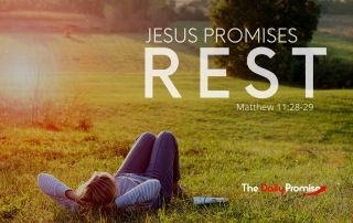 A person is laying in the grass with the words "Jesus Promises Rest."