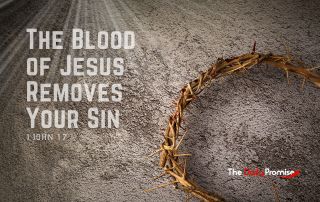 The crown of thorns laying on a stone. "The Blood of Jesus Removes Your Sin"