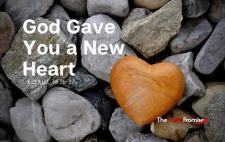 Gray rocks with a brown heart shaped rock. "God Gave You a New Heart"