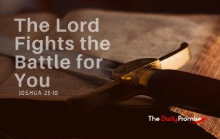 The handle of a sword is in the background with the words, "The Lord will Fight the Battle for You."