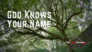 Trees with the words - God Calls You by Name - Luke 19:4-5