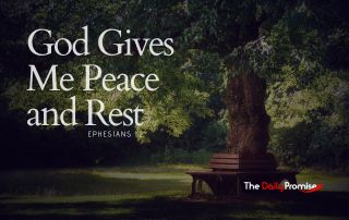 Peaceful forest scene - "God Gives me Peace and Rest"