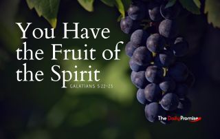 Purple graces with the words, You Have the Fruit of the Spirit - Galatians 5:22-23