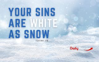 Snow scene with the words "Your Sins are White as Snow" - Isaiah 1:18