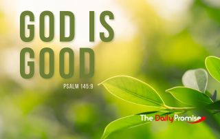 Close up of a green leaf - "God is Good" Pslam 145:9