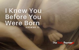 I Knew You Before You Were Born - Jeremiah 1:5
