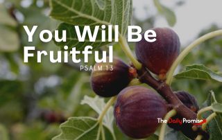 A cluster of Figs with the caption - You Will Be Fruitful. - Psalm 1:2-3