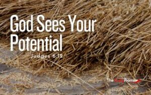 A pile of brown straw with the title "God Sees Your Potential" - Judges
