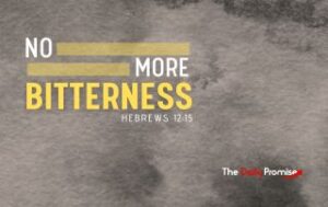 Gray textured background with the words - "No More Bitterness" - Hebrews 12:15