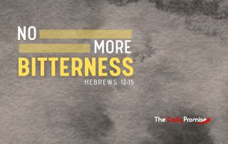 Gray textured background with the words - "No More Bitterness" - Hebrews 12:15