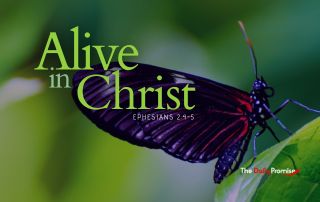 Butterfly with the words - Alive in Christ, Ephesians 2:4-5