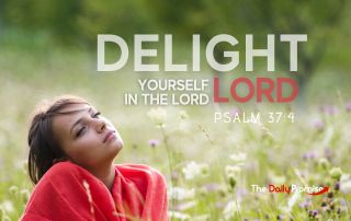 Girl with a red top daydreaming in a field. "Delight Yourself in the Lord"