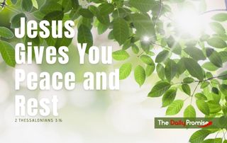 Green leaves with the caption "Jesus Give You Peace and Rest"