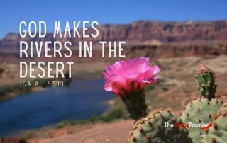 A desert scene with a cactus flower in front. "God Makes Rivers in the Desert"