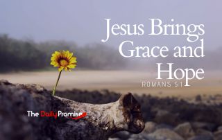 Flower growing out of dead wood. - Jesus Brings Grace and Hope - Romans 5:2