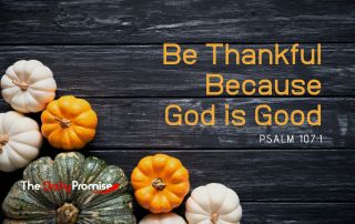 Various Pumpkins in the corner, with dark wood slats - "Be Thankful Because God is Good" - Psalm 107:1