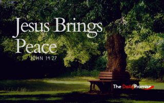 A Bench under a large shade tree - "Jesus Brings Peace" - John 14:27