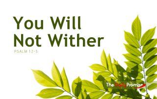 Green leaves it the bottom right corner. "You Will Not Wither" - Psalm 1:2-3