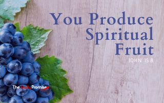 A cluster of grapes on wood. "You Produce Spiritual Fruit" - John 15:8