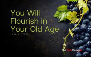 Dark background with grapevines on the right. "You Will Flourish in Your Old Age"