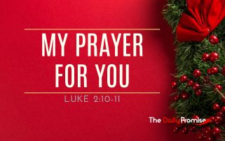 A red background with holly on the right side. "My Prayer for You" Romans 15:13