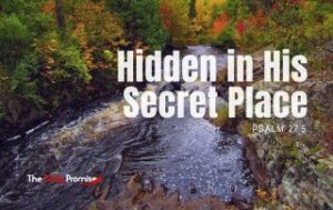 A wooded stream with the words "Hidden in His Secret Place"