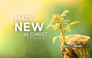 A new plant springing from an old sump with the words "Made New in Christ" 2 Corinthians 5:17